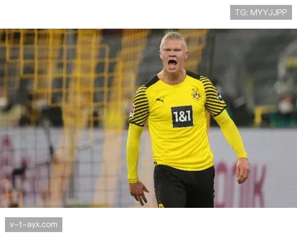 哈兰德与布吕讷青训出道经历对比分析注