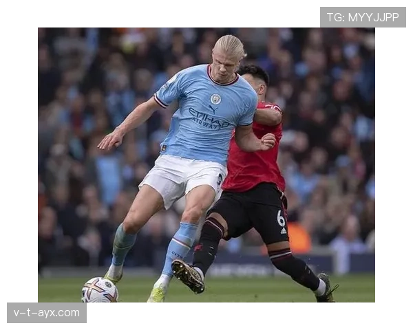 哈兰德高产数据解析：效率与体系依赖